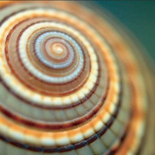 Speechtherapy-pics-1