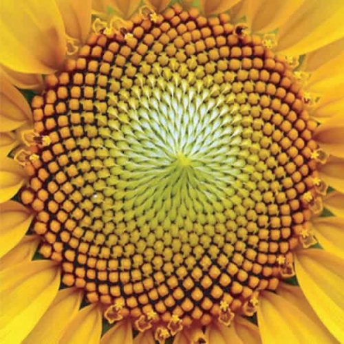 Speechtherapy-pics-2