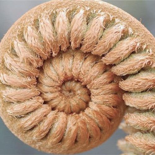 Speechtherapy-pics-3